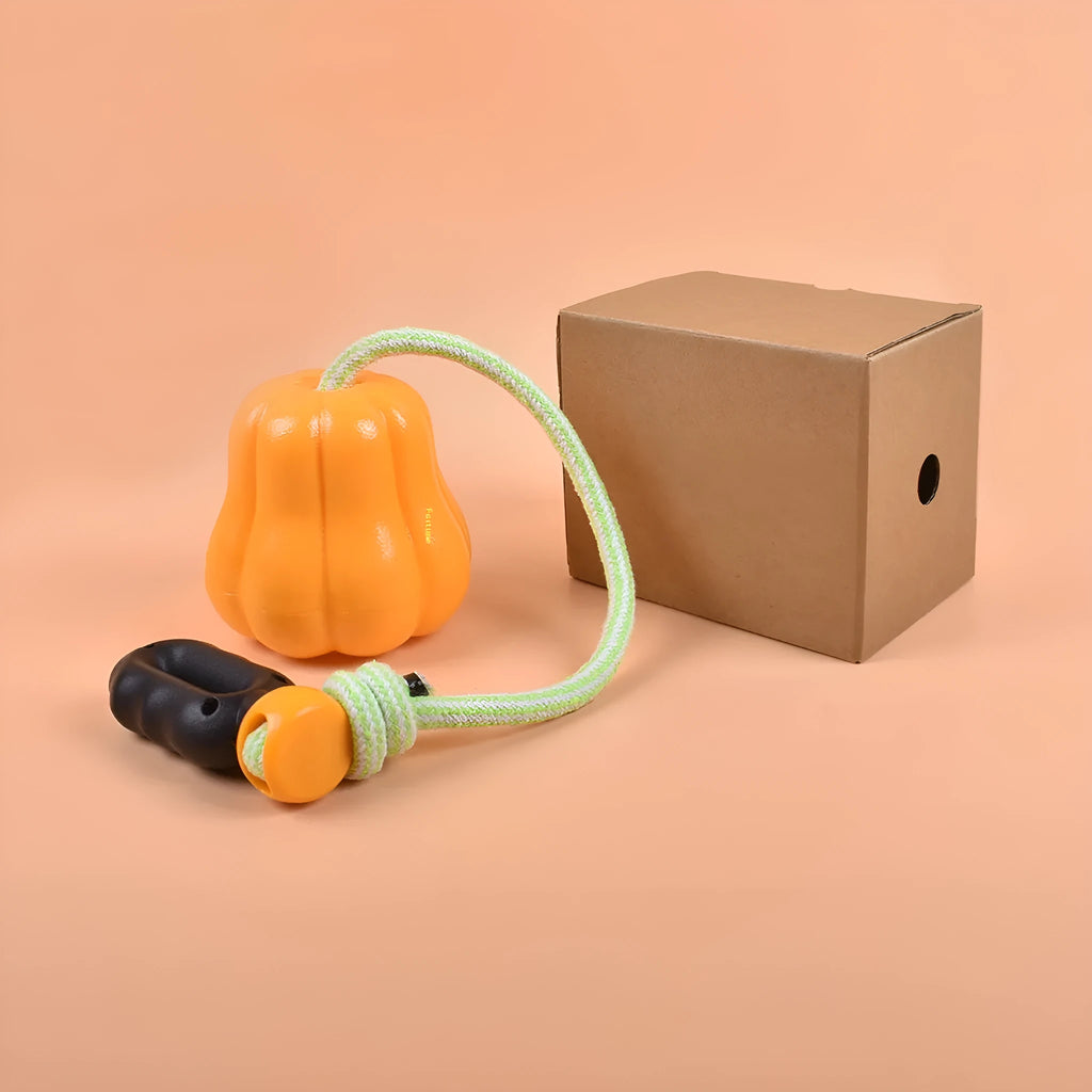 Pumpkin orange plastic dog chew toy with a woven rope handle for fetch.