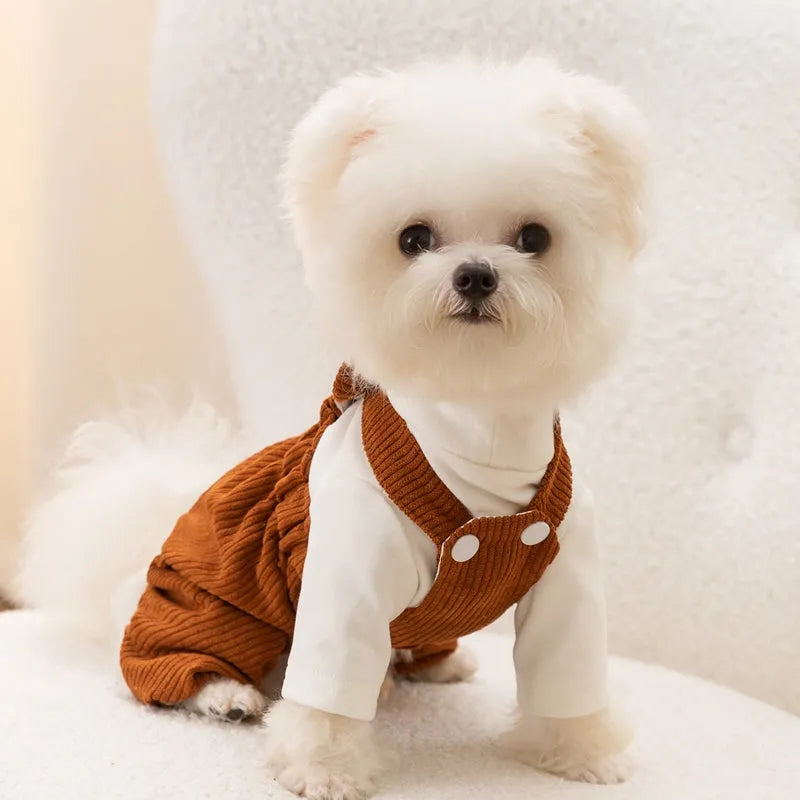 Brown corduroy four-legged pet overalls with bunny back detail for small dogs, front view
