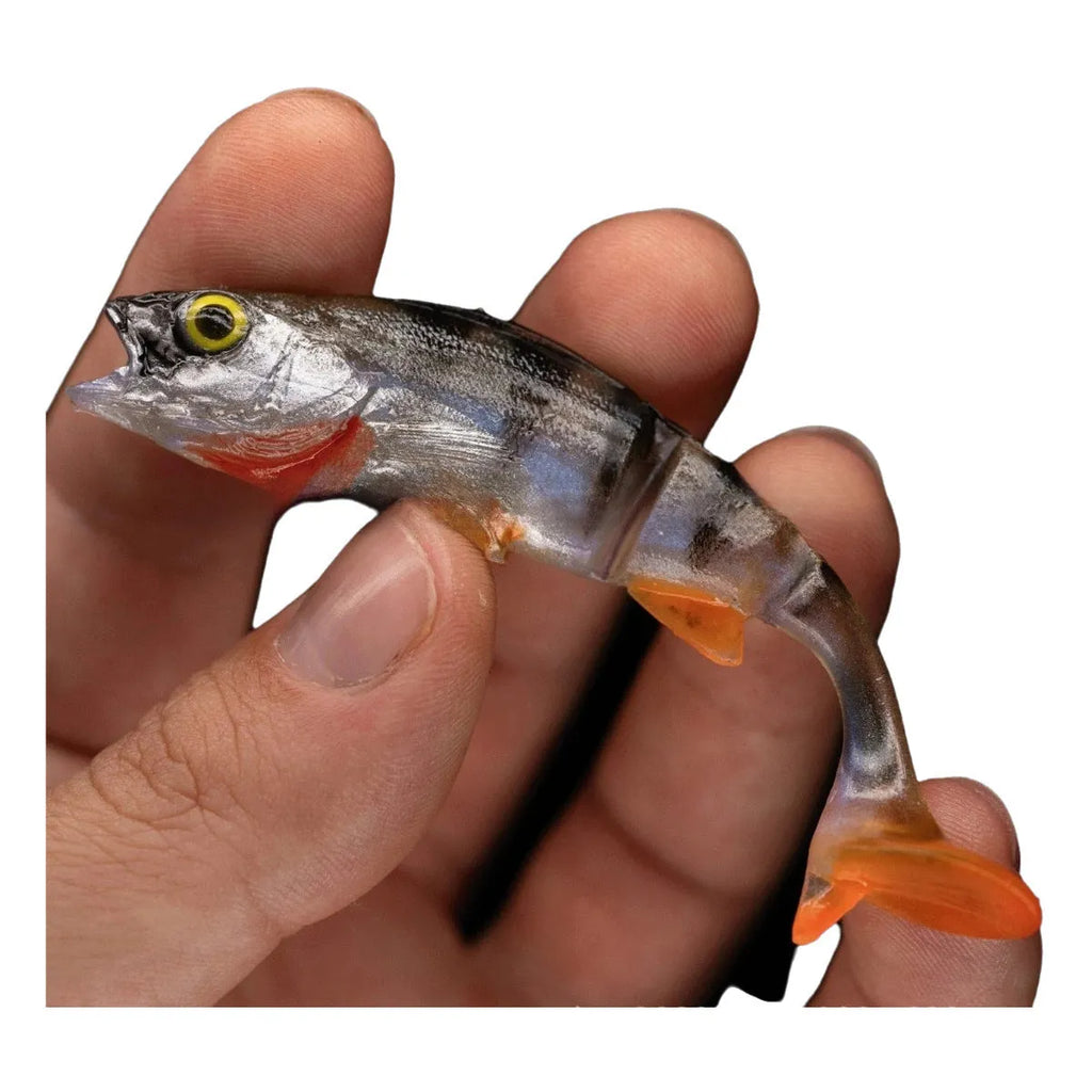 Fish T-tail soft fishing lure in realistic fish colour pattern for catfish and sea fishing
