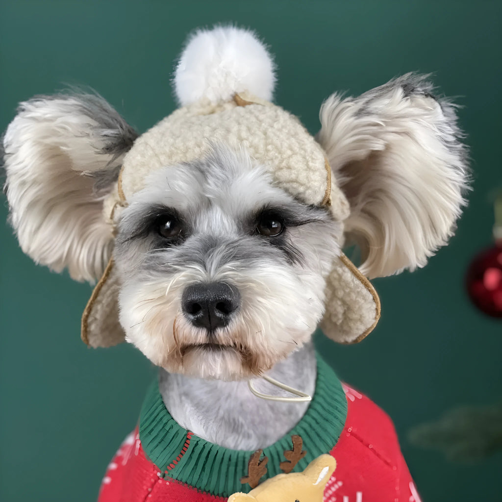 Brown turn ear cap dog hat for Schnauzer and Teddy breeds, size S or L
