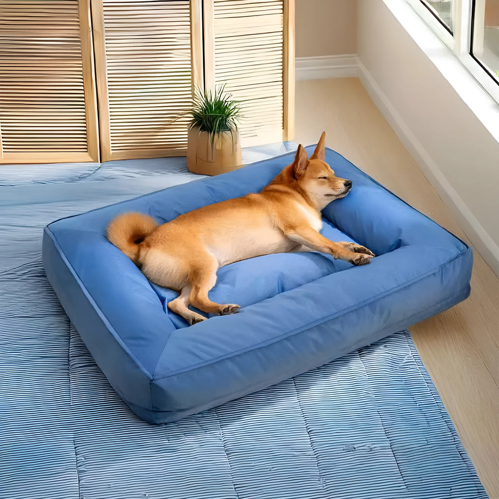 Orthopedic dog bed in waterproof Oxford cloth with full surround support, shown in blue, dark green, and grey