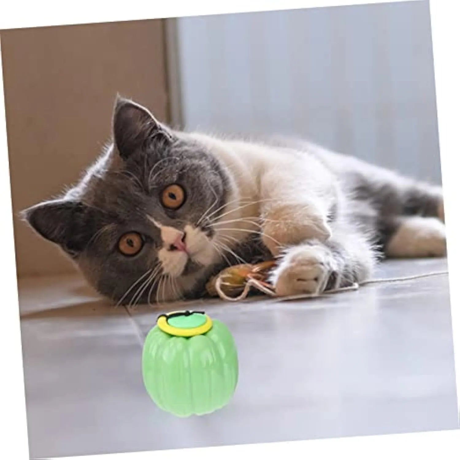 Pumpkin-shaped orange dog chew ball with squeaker for small dogs on a wooden floor.