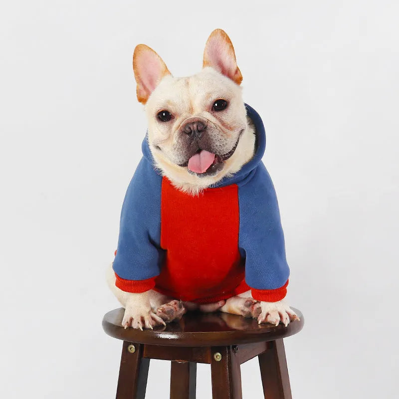 Red cotton dog coat for small to medium-sized breeds like Teddy or French Bulldog on a size chart showing L to 4XL.