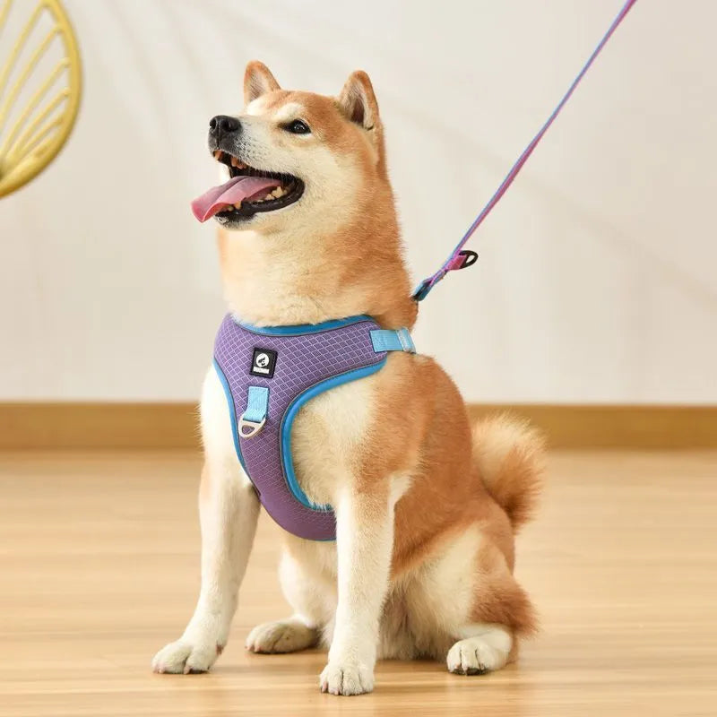 Breathable mesh dog harness with reflective piping in multiple colour options