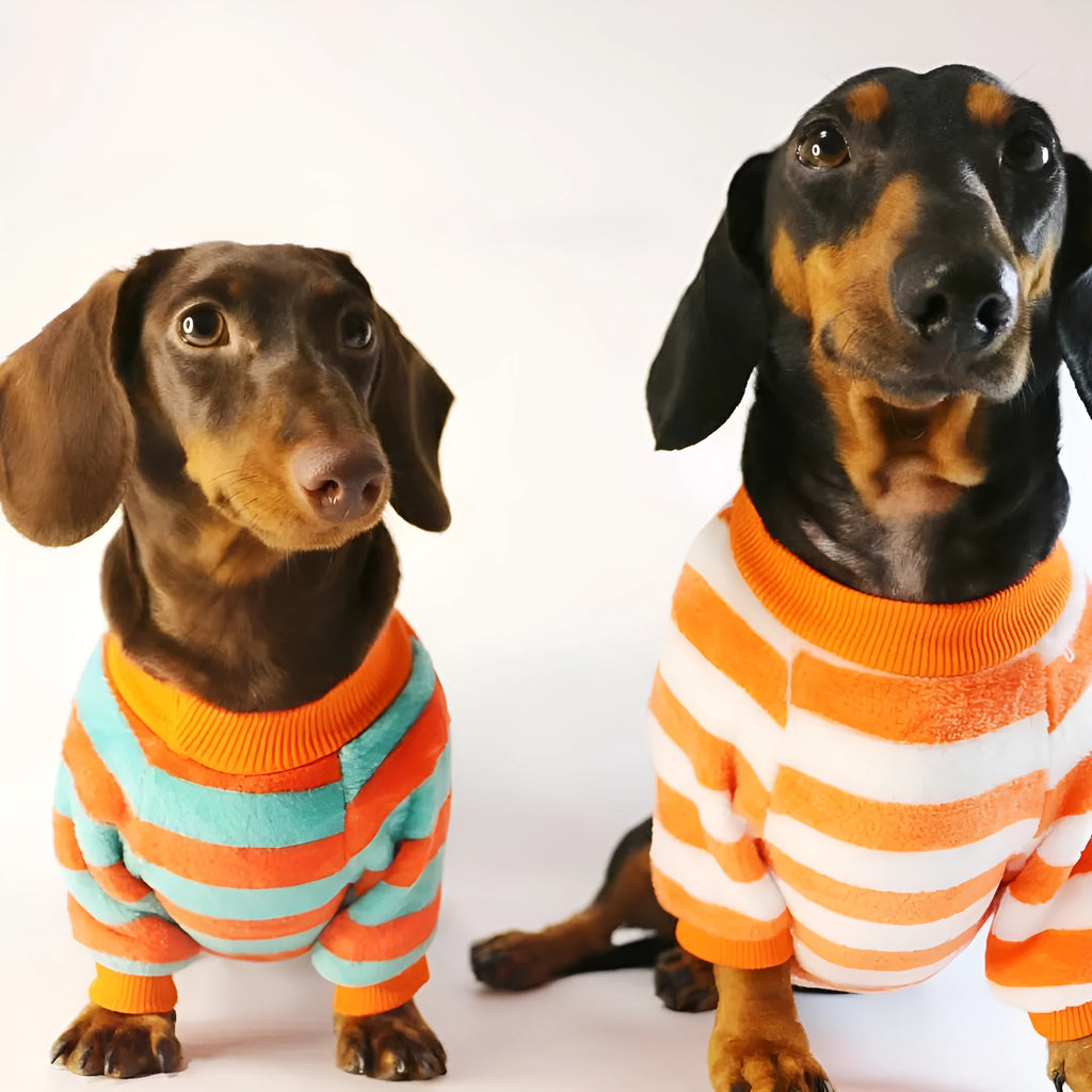 Striped round neck sweatshirt for dogs and cats in orange-red and white colour pattern