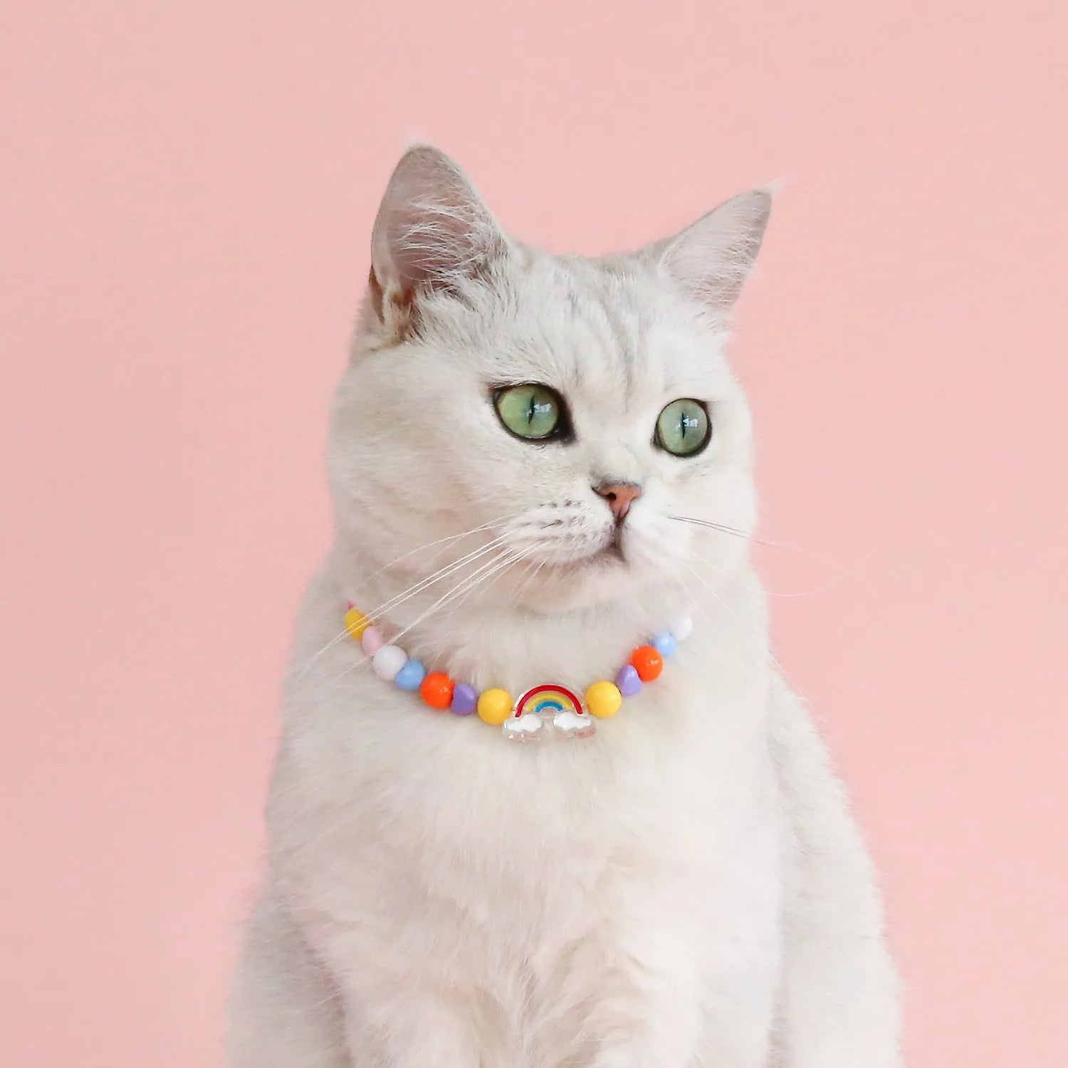 Colourful plastic bead pet necklace for small cats and dogs in peach, rainbow, and small flower designs.
