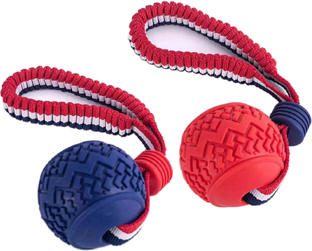 Blue rubber dog ball with rope attachment for tug-of-war and teeth cleaning