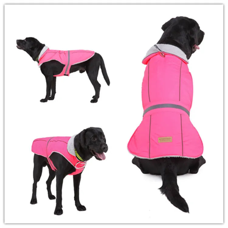 Reflective dog coat in pink or purple, polyester, sizes S to XXL for winter night walks