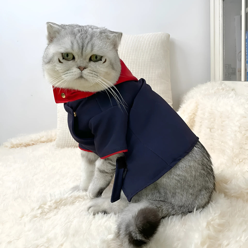A Tiger Staff Yuren coloured hoodie for a small dog or cat, worn as a photo prop costume.