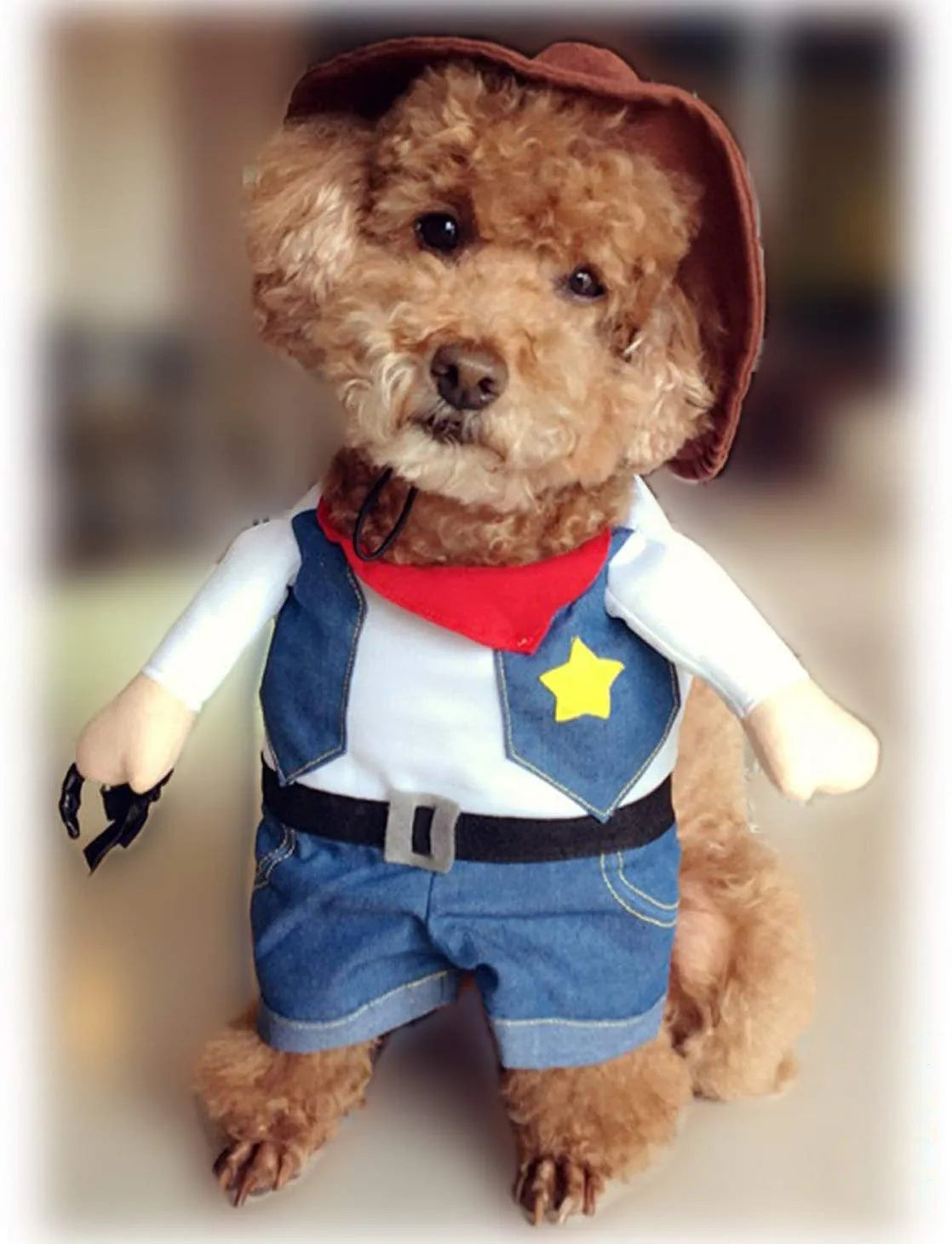 Dark blue pet denim cowboy costume with jacket and hat for cats and dogs, sizes S to XL.