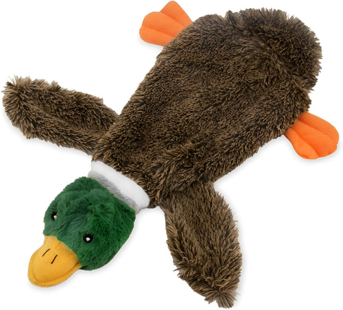 Green wild duck design stuffless dog toy with dual squeakers and bottle cavity opening