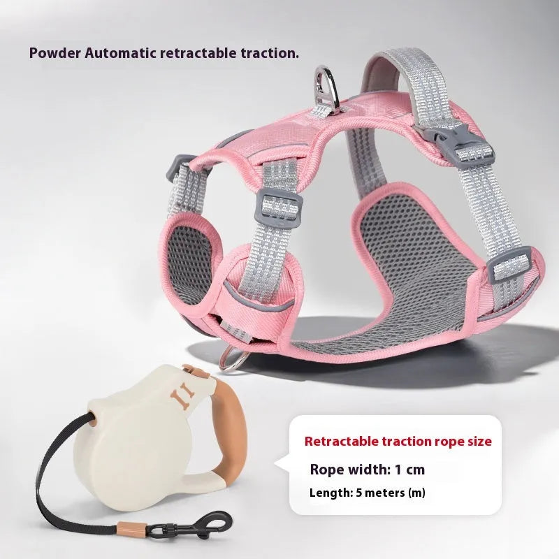 Adjustable polyester dog chest harness and lead set in blue, apricot, pink, green or red, sizes XXS to M