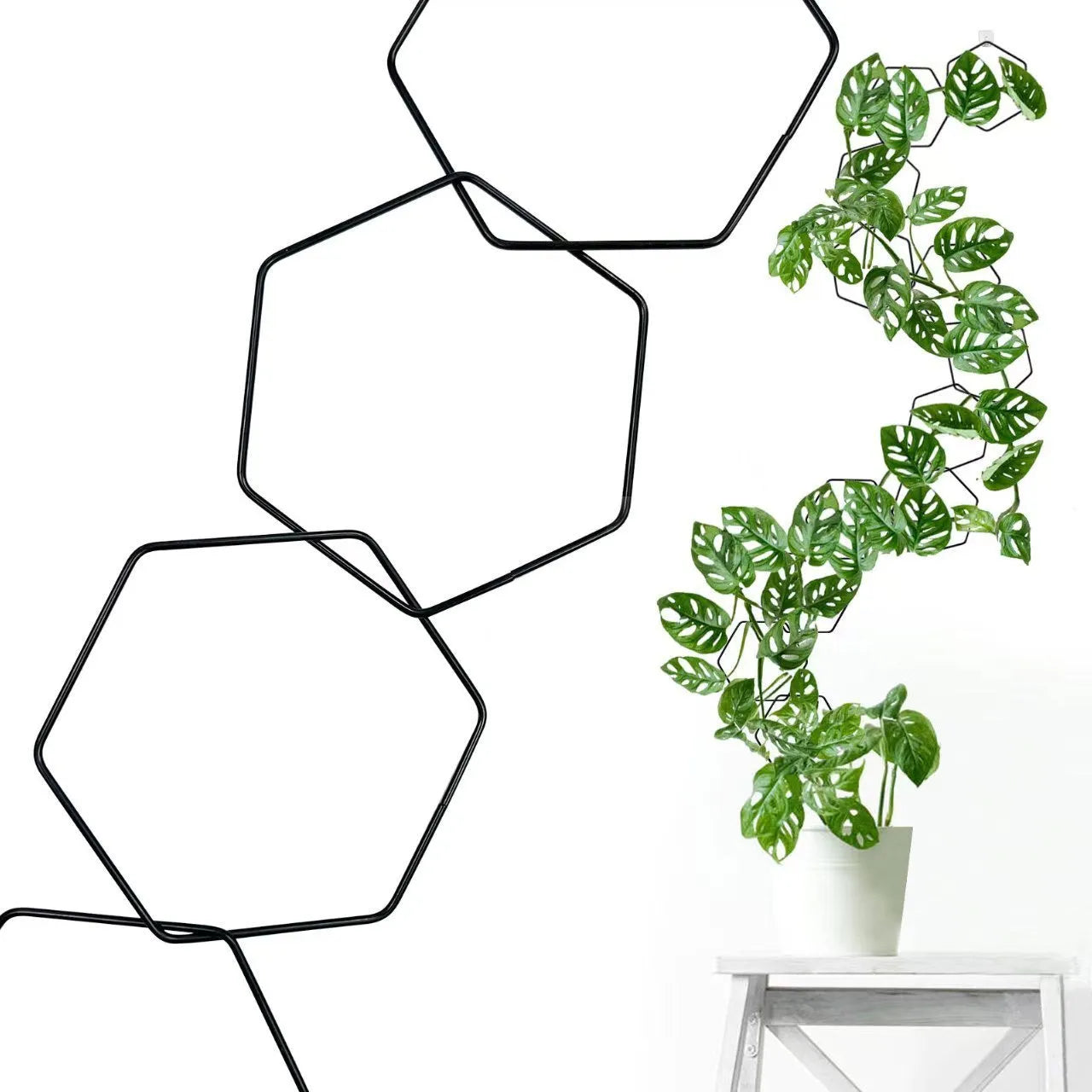 Hexagonal iron ring plant flower rack climbing frame with hooks and folding design