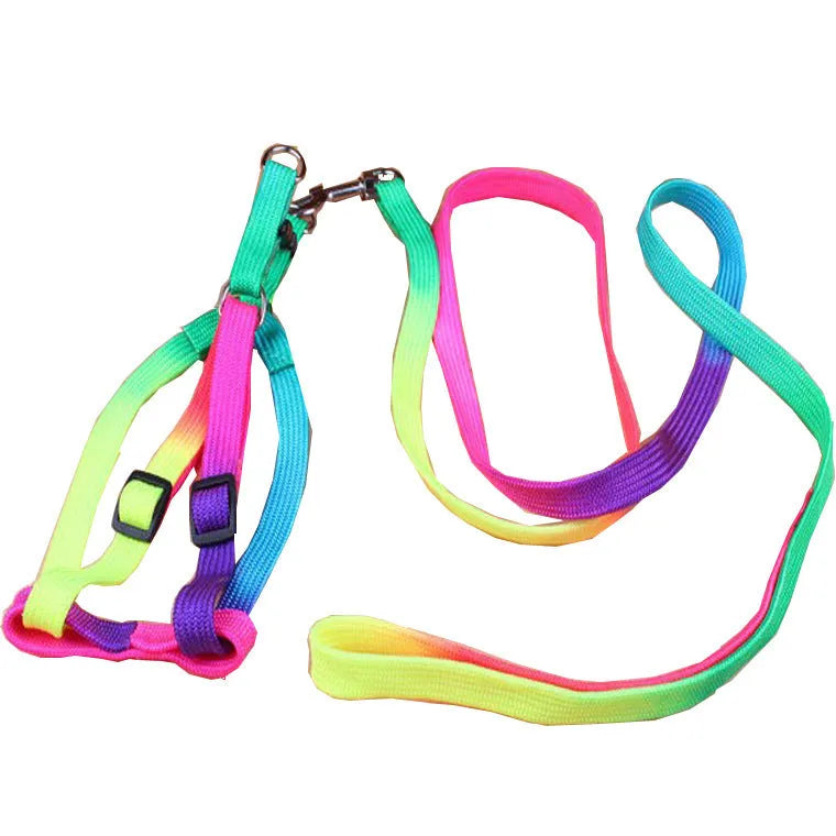 Colourful nylon chest-type dog leash with 120cm pull strap and 1.0cm width, sized for 25-40cm bust.
