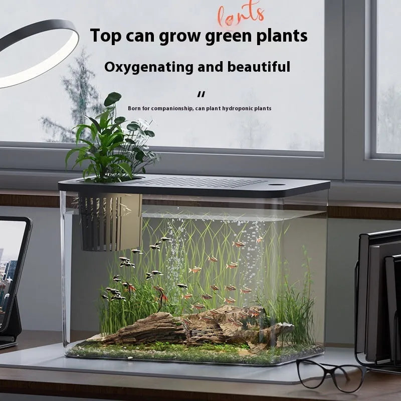 Compact black plastic betta fish tank with a clear cover on a wooden desk.