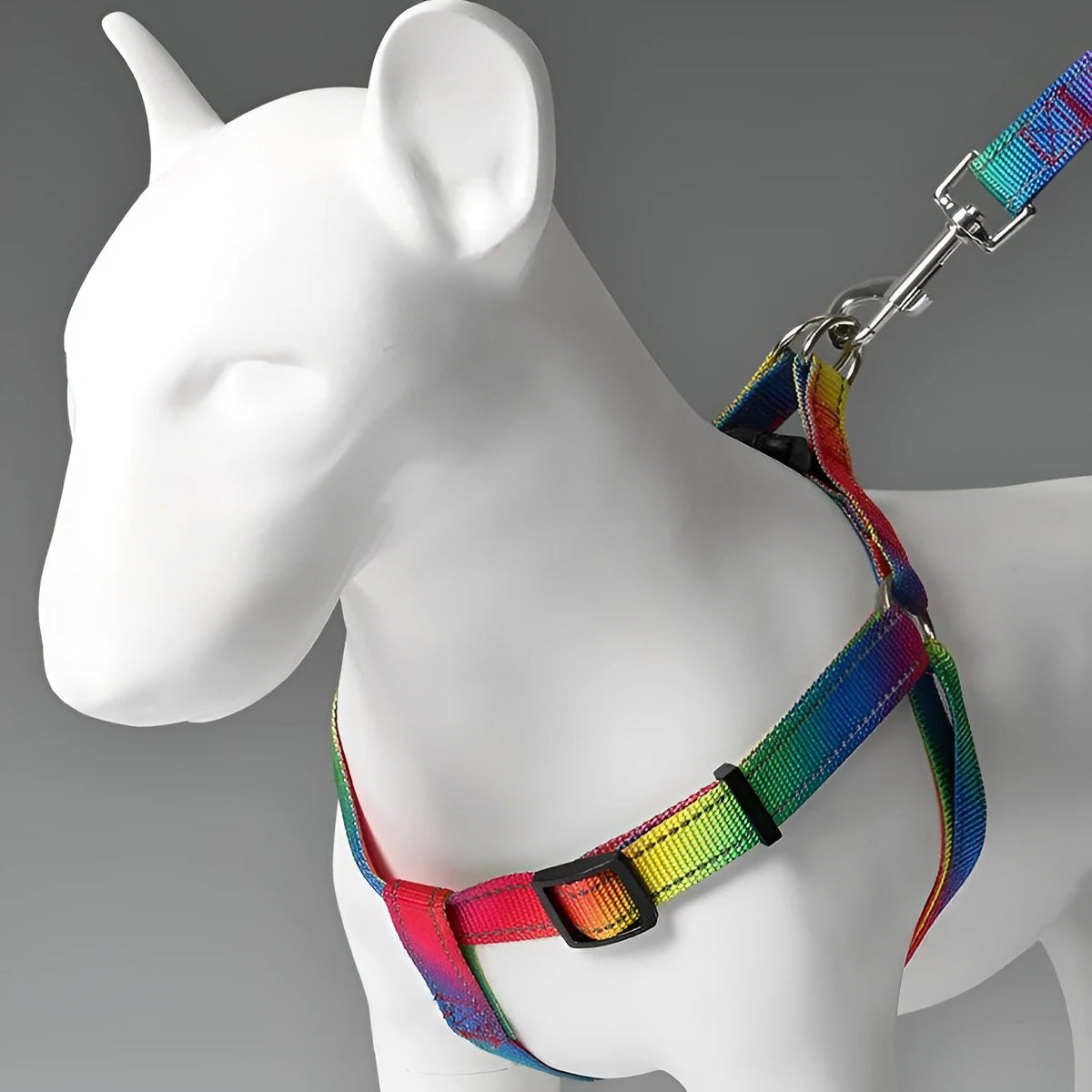 Colourful reflective three-piece dog set with chest and back cover, collar and rope lead in sizes L M S