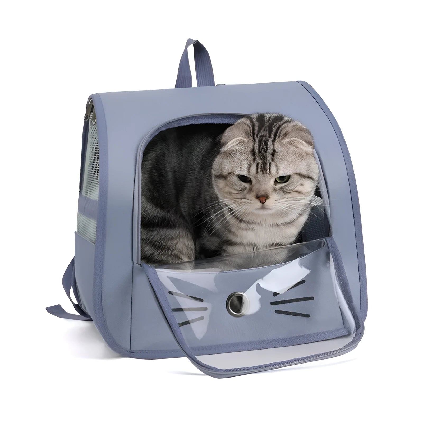 Pet cat carrier backpack in blue Oxford fabric with mesh top and shoulder straps