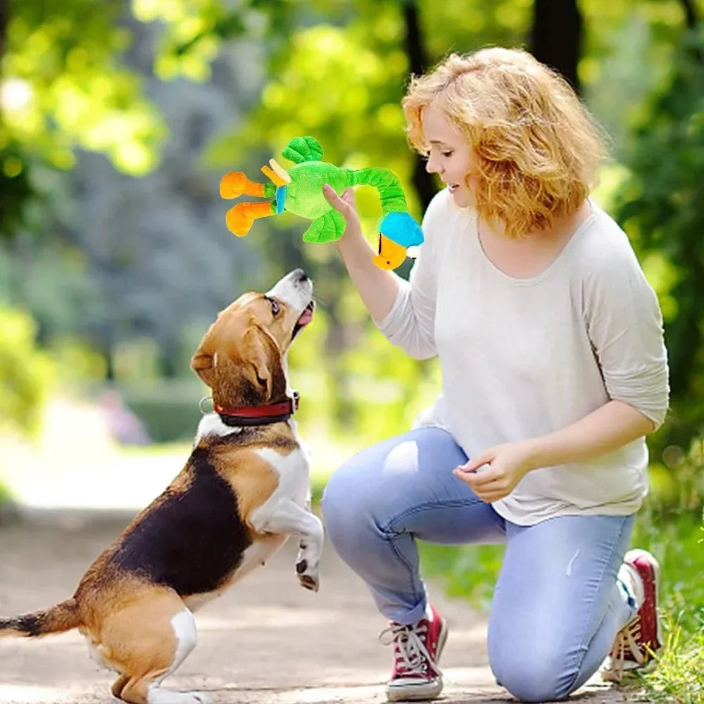 Durable rubber dog toy shaped for chewing, shown in black, green, and orange colours.