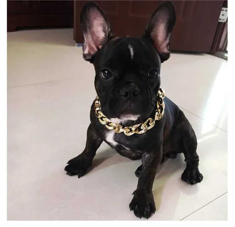 Gold colour chain dog collar ornament with geometric plastic resin design for small to medium dogs
