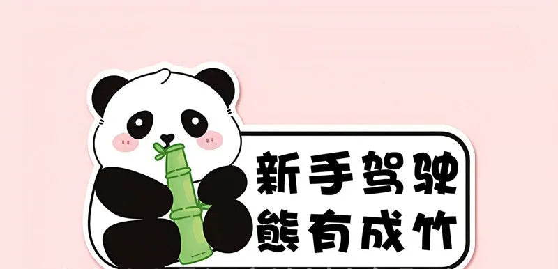 Car sticker for female drivers with panda design and beginner driver messaging