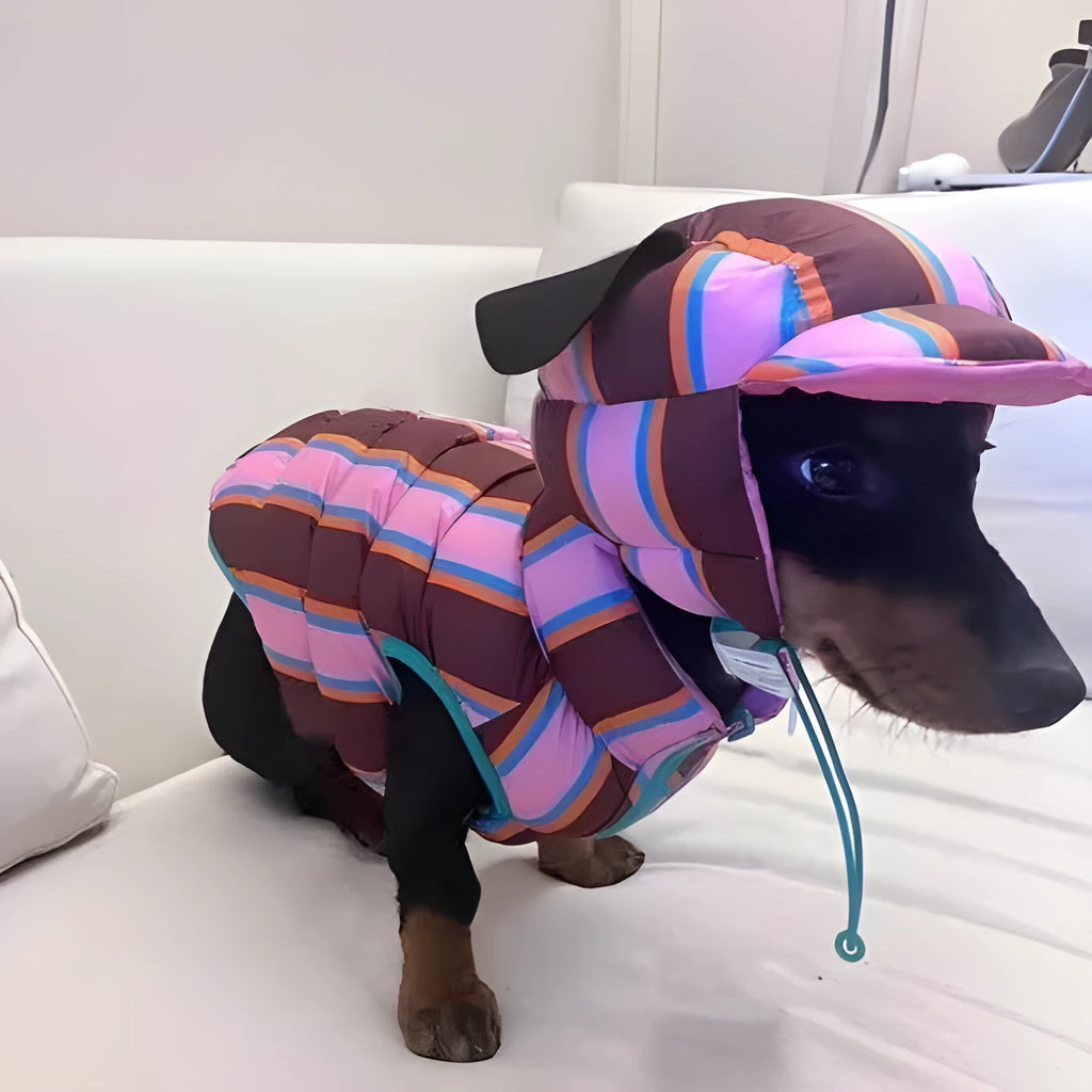 Dirty pink striped polyester dog vest and matching hat set for small to medium dogs.