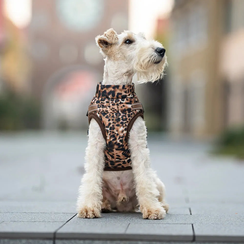 Leopard print pet top with integrated chest and back traction rope for dogs