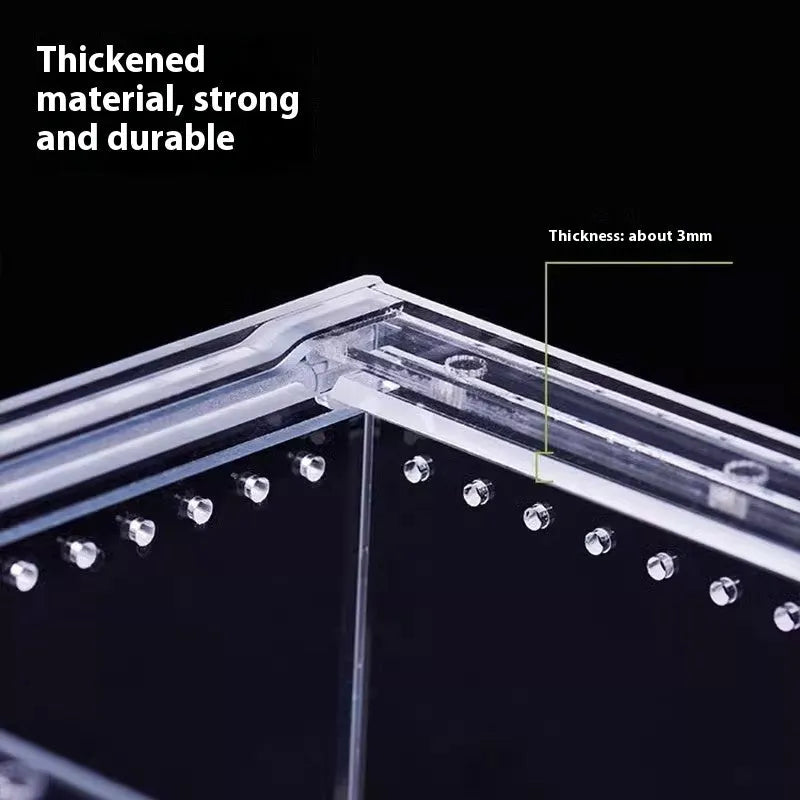Clear acrylic reptile feeding box showing dimensions for small, medium, large, extra large, and arboreal sizes.