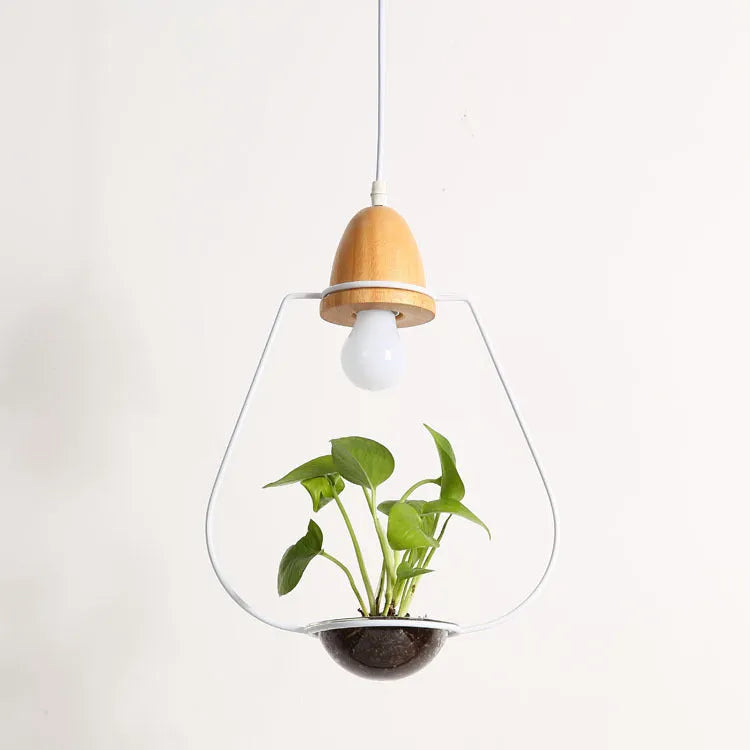 LED plant chandelier with three glass lights, black plated finish, hanging from ceiling in a living room