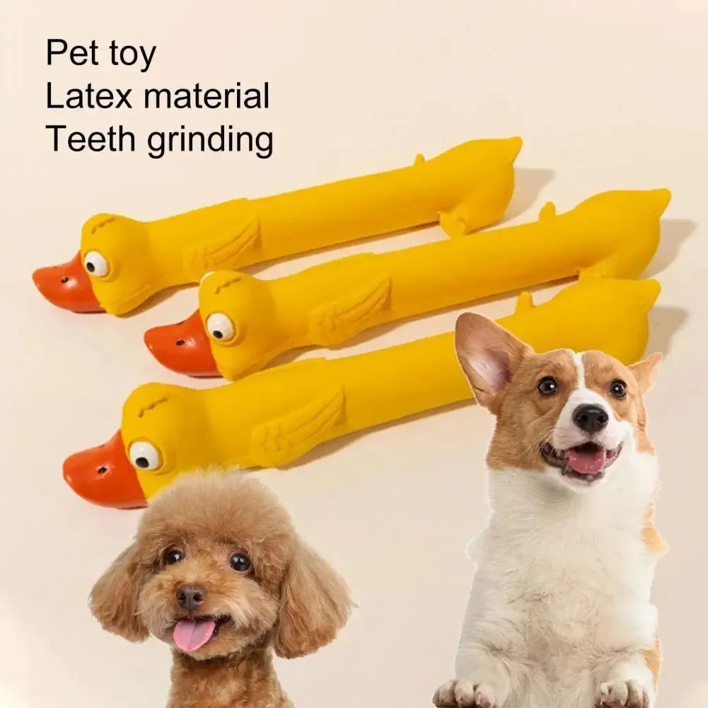Yellow duck latex dog toy, 26cm long, with built-in squeak sounder for chewing and play