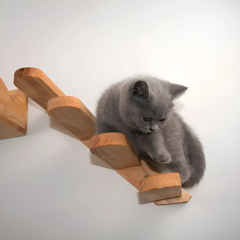 Wall-mounted solid wood cat stairs with 4 steps, left-to-right arrangement, on a white wall