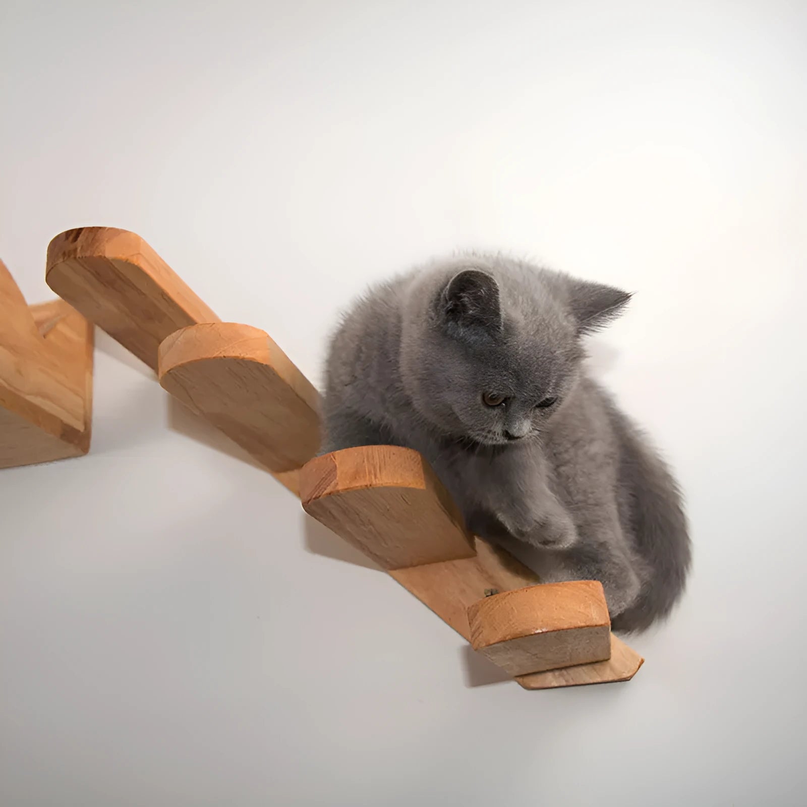 Wall-mounted solid wood cat stairs with 4 steps, left-to-right arrangement, on a white wall