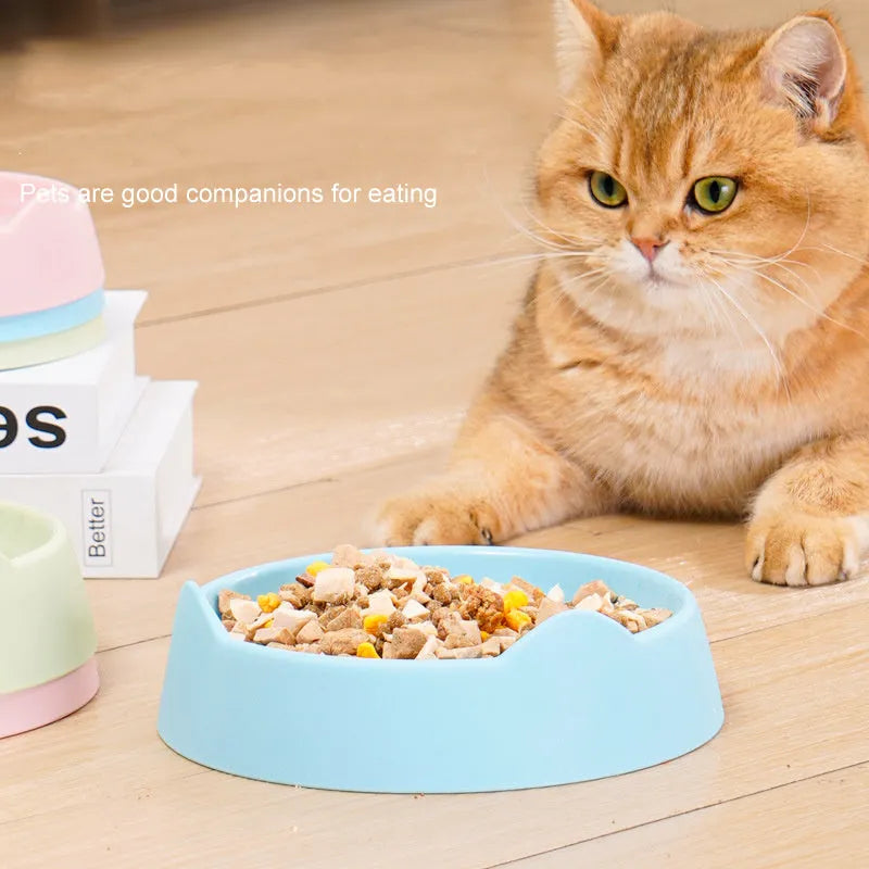 Blue ceramic dog slow feeder bowl with puzzle maze design for small or large breed dogs.