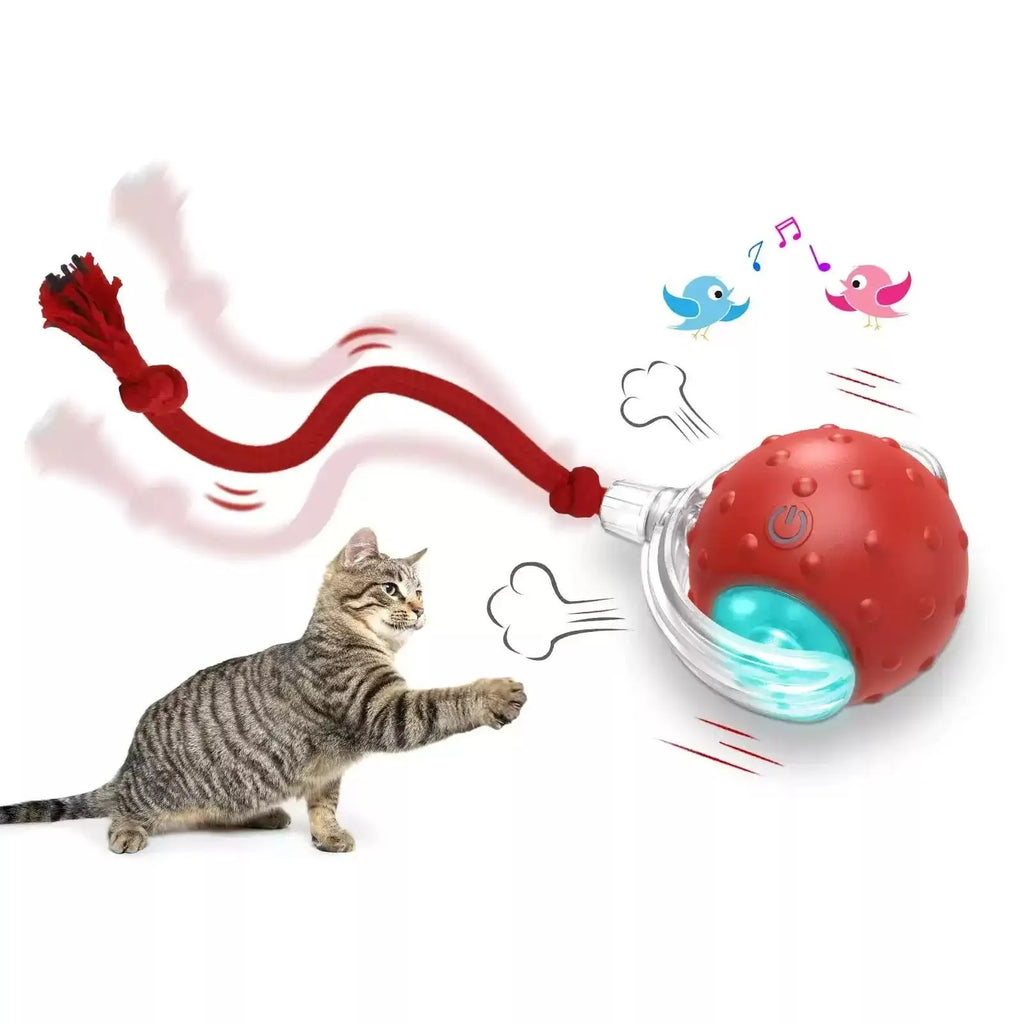 Red interactive cat toy ball with automatic rolling motor for indoor feline entertainment