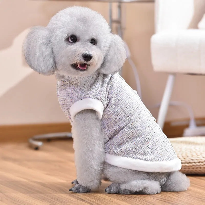 Black or purple PU jacket for small to medium sized cats and sausage dogs