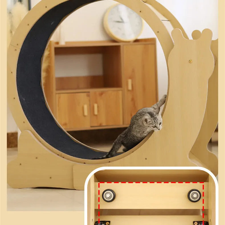 Wooden silent cat exercise wheel with snail shape and scratch-resistant surface, M and L sizes