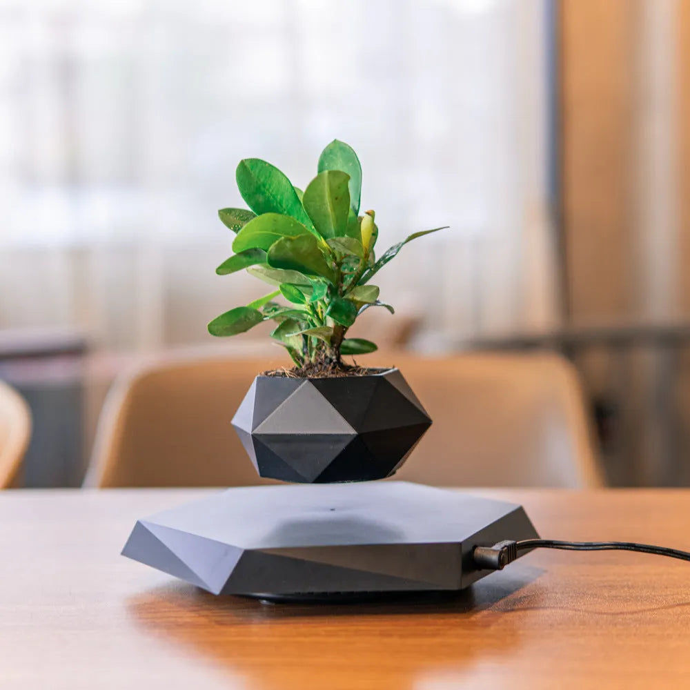 Hexagonal wood grain magnetic levitating flower pot floating 15mm above base