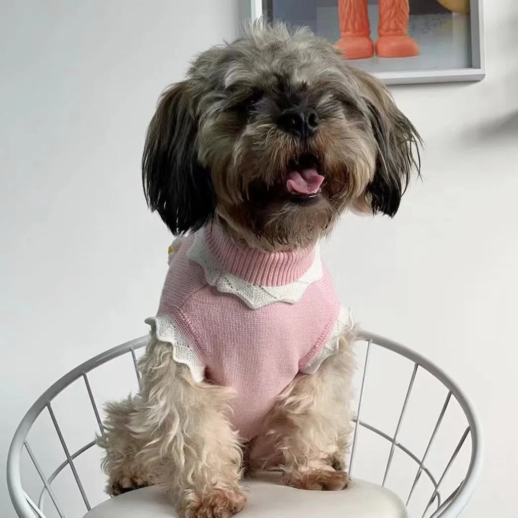 Green flower blossom dog sweater on a small pet showing detailed sizing options