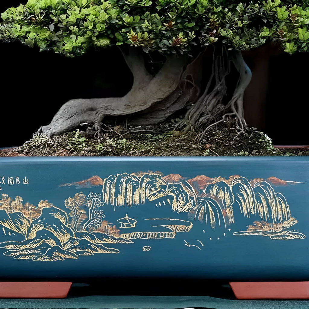 Handmade purple clay rectangle bonsai pot for large trees, shown in deep blue black colour.