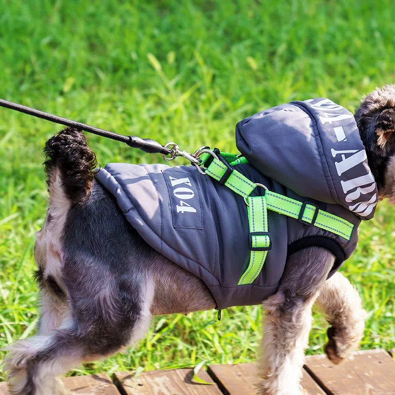 Red hooded dog winter jacket with fleece lining on a small dog outdoors.