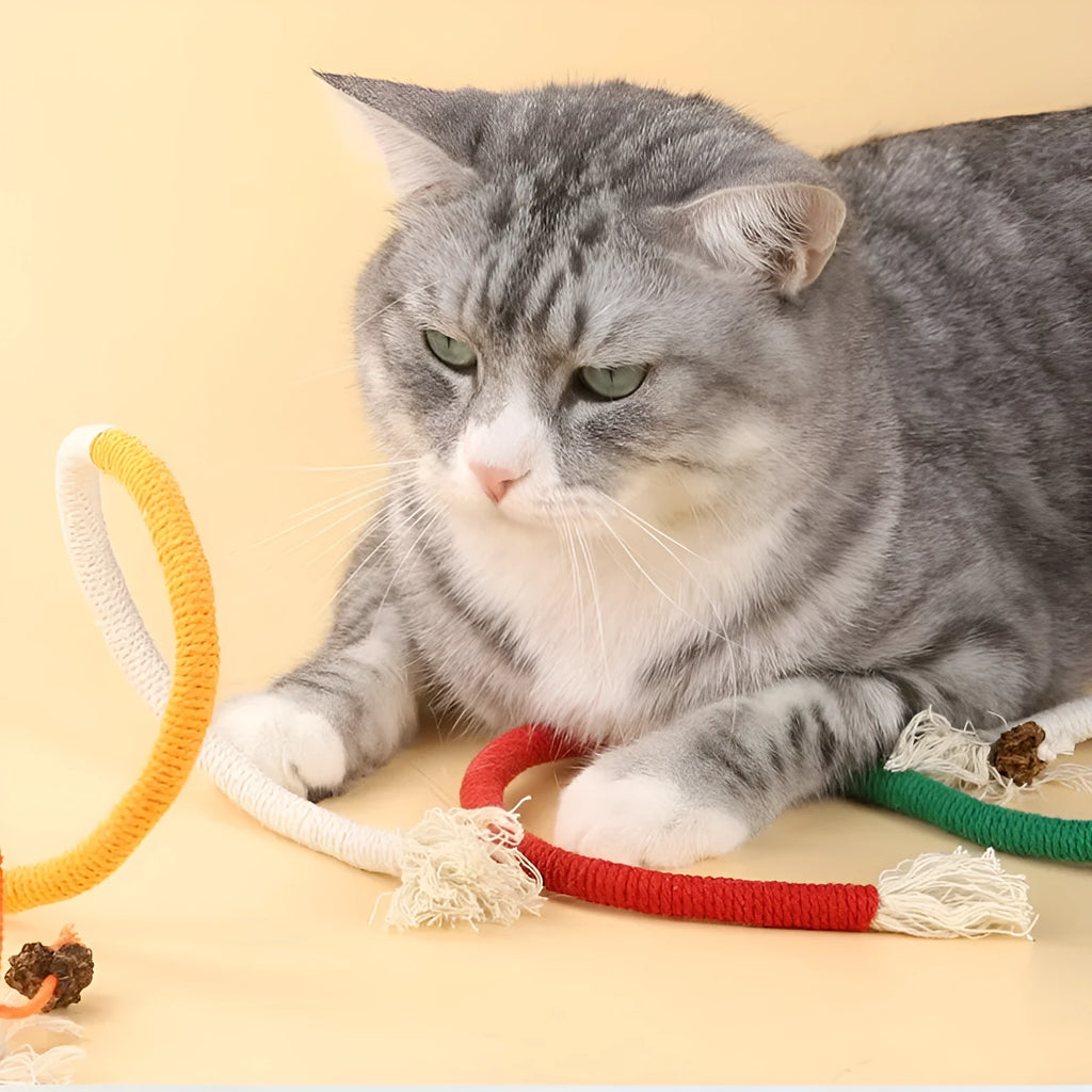 Cat bite rope toy made from cotton thread in orange quality grade with teaser stick design