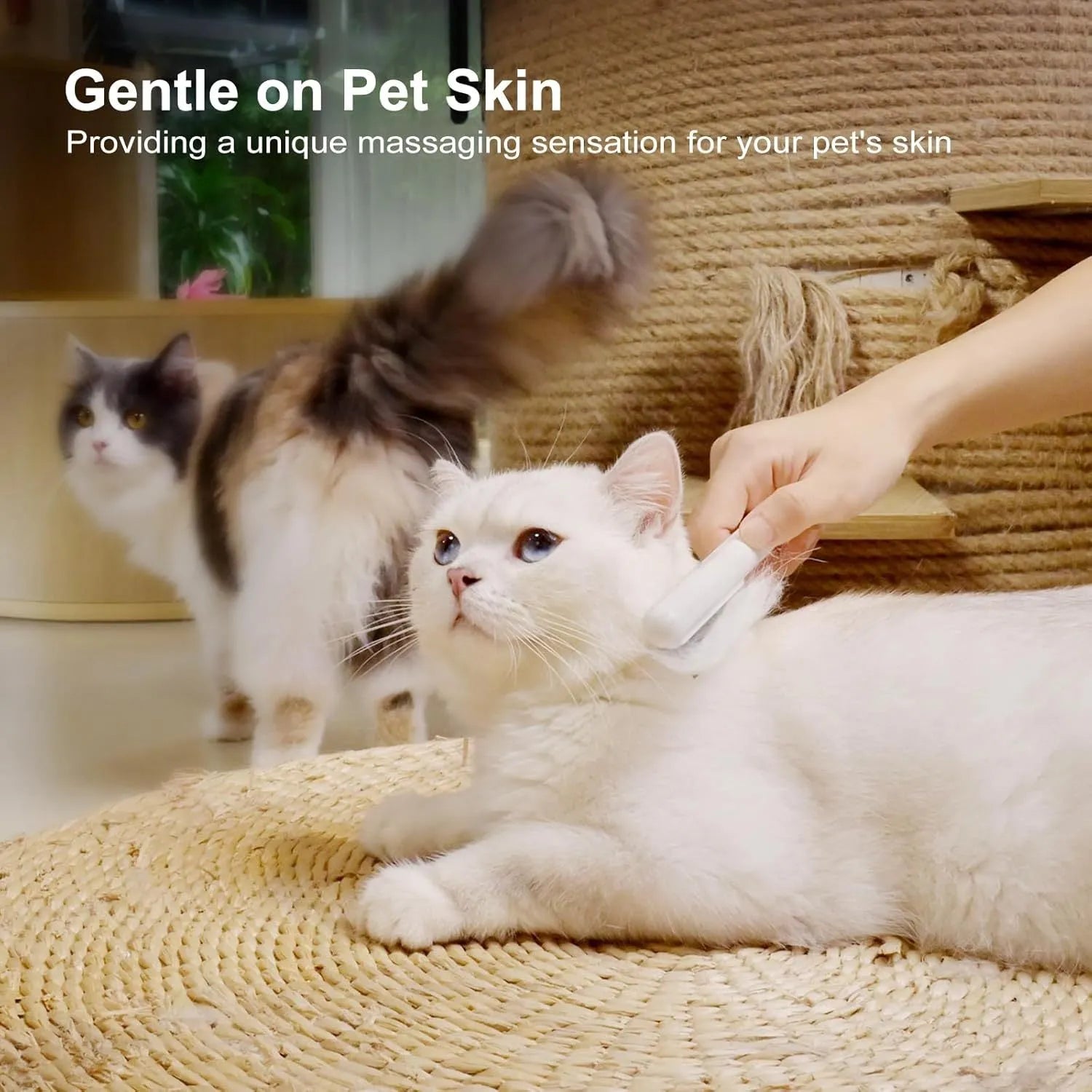 Green and white stainless steel cat combs with rounded teeth for gentle pet grooming