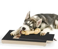 Premium wood dog nail scratch board with treat drawer and non-slip pads on a floor.