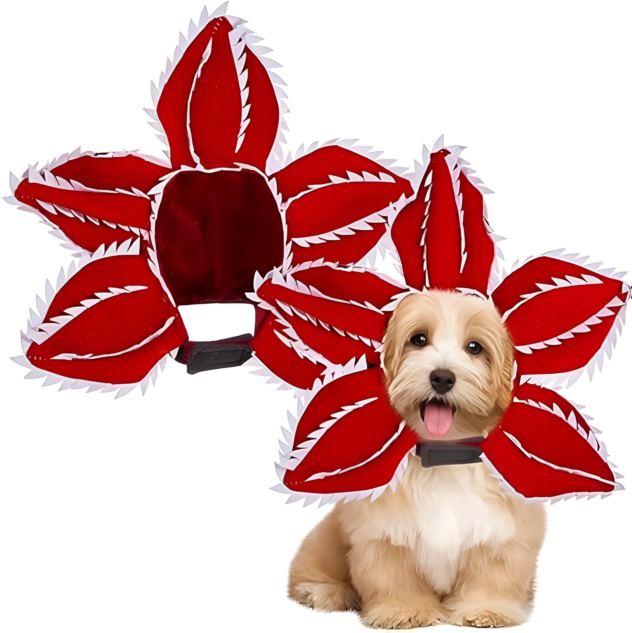 Dog wearing green and red Halloween chomper costume with demon hat headband and colourful flowers