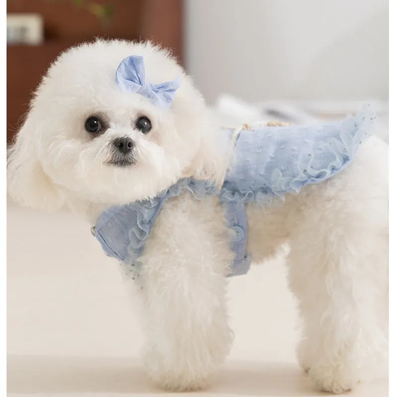 Small dog wearing blue country outfit with matching bow and small woven crossbody bag