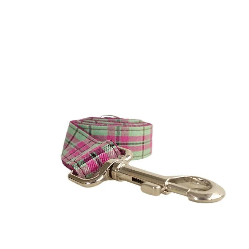 Mint zigezi polyester dog collar and matching leash set in tear-resistant construction