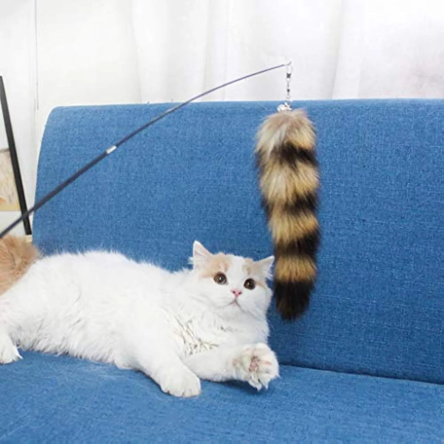Black cat toy wand with elastic string and feather attachment for interactive feline play