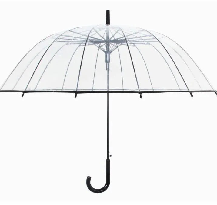 Transparent 16-rib umbrella with extra-long handle showing black steel skeleton frame
