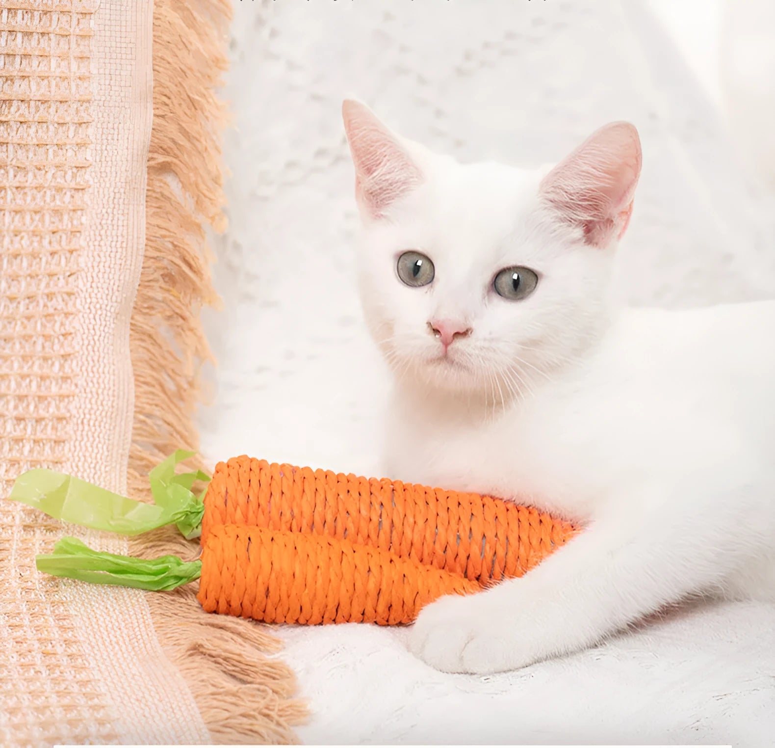Set of interactive cat toys including carrot bites, paper toys with ringing stones, cat sticks, and tooth grinding sticks