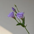 Artificial silk eustoma flower with 3 heads in beige colour, 22cm total length, on white background