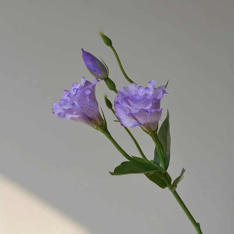 Artificial silk eustoma flower with 3 heads in beige colour, 22cm total length, on white background